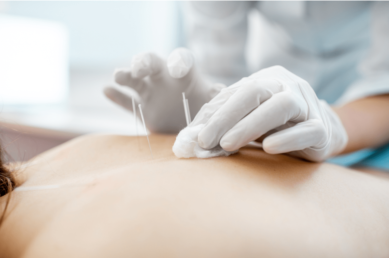 سوزن دمانی در تبریز