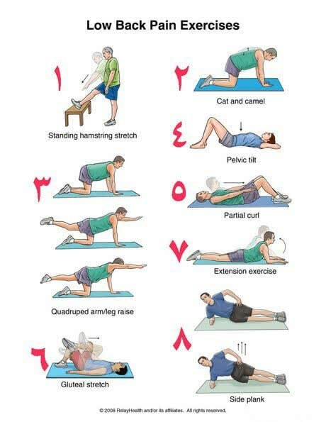 ورزش‌های ویلیامز و مکنزی